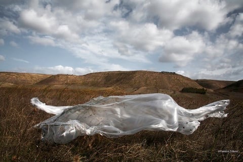 Patrizia Zelano – Plastica Animistica